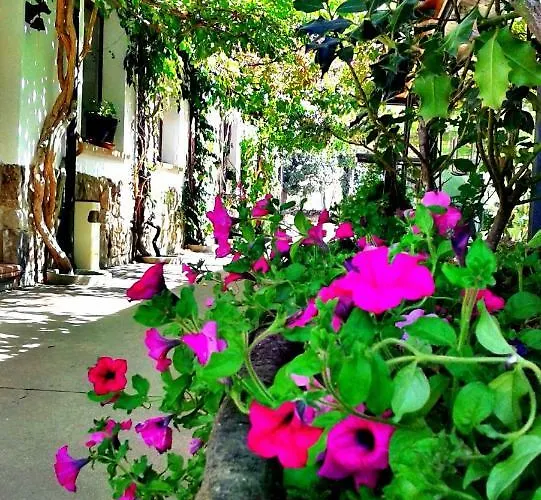 Entrerrobles 招待所