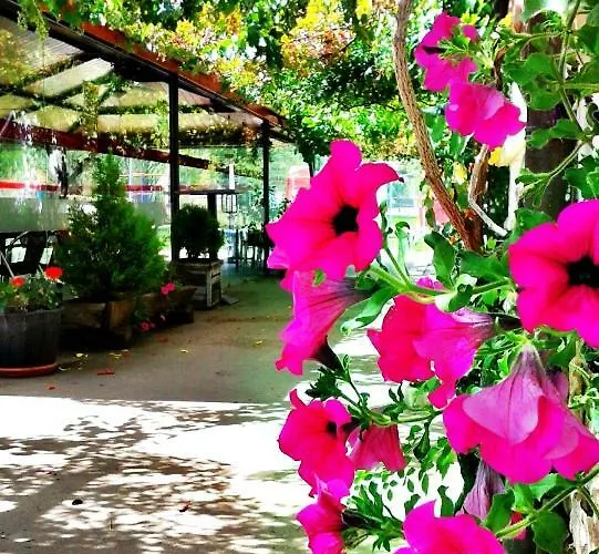 Entrerrobles Valdeavellano de Tera